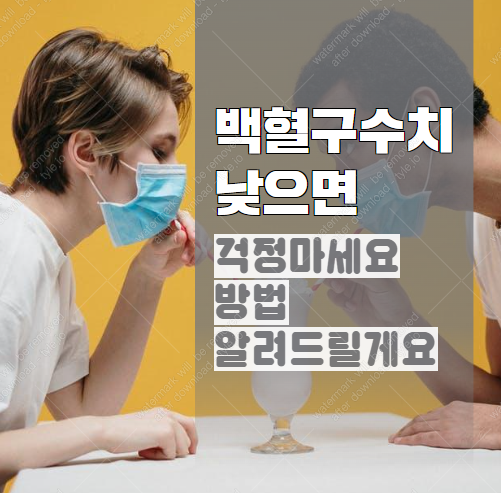 백혈구 수치 낮으면 면역력 저하? 걱정 마세요! 올리는 방법 알려드릴게요! 2024-07-03 20 57 40