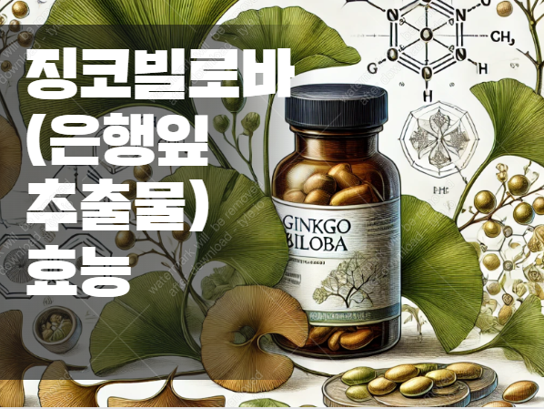 기억력 감퇴? 혈액순환 장애? 징코빌로바(은행잎 추출물) 효능의 비밀은? 2025-01-29 20 28 43