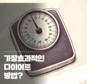 디톡스 다이어트 효과 분석