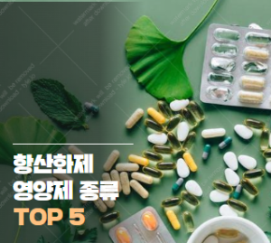 항산화제 영양제 종류