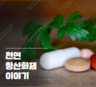 젊음의 비결? 천연 항산화제로 시간을 되돌리는 놀라운 효과 2025-02-27 19 43 59