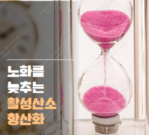 활성산소 항산화