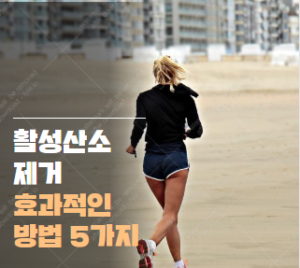 활성산소 제거방법