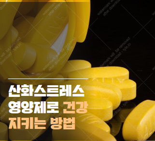 산화스트레스 영양제