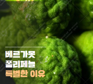 베르가못 폴리페놀