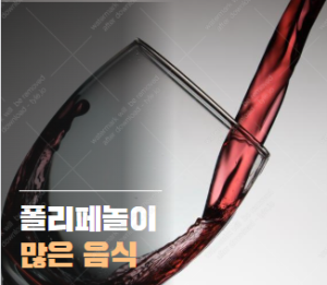 폴리페놀이 많은 음식