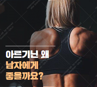 아르기닌 복용법의 모든 것 | 남성 건강을 위한 최적의 섭취량과 효과 2025-03-03 12 55 34