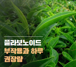 플라보노이드 부작용