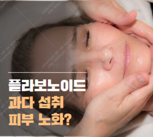 플라보노이드 과다 섭취