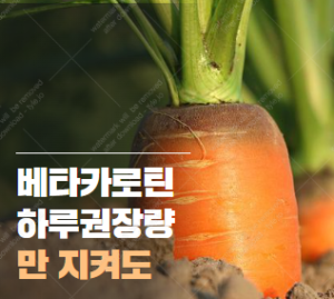 베타카로틴 하루권장량