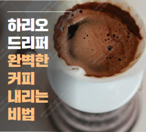 하리오 드리퍼