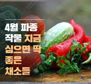 4월초순 추천작물