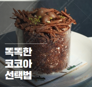 코코아 카페인