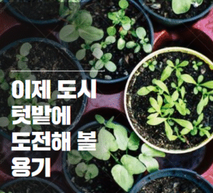 도시 텃밭