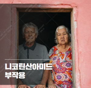 니코틴산아미드