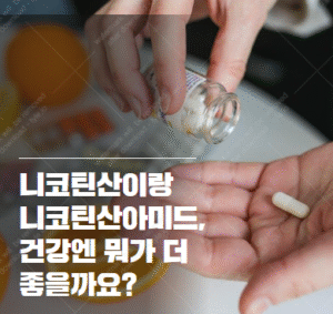 니코틴산아미드