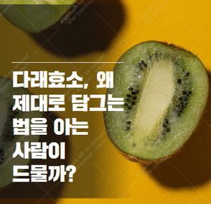 다래효소 만들기