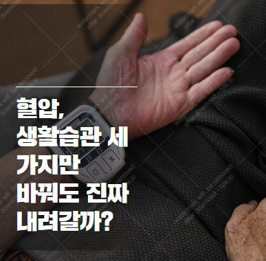 혈압 관리 전문가가 추천하는 2025년 생활습관 TOP 3 2025-08-31 19 26 40
