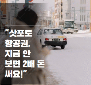 삿포로 비행기 최저가