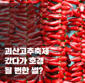 괴산고추축제