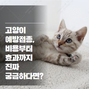 고양이 예방접종