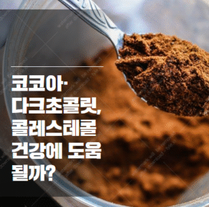 코코아 콜레스테롤 효과