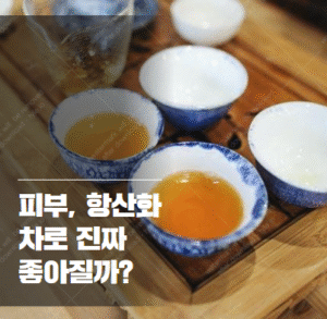피부관리 항산화제