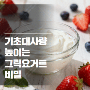 기초대사량 높이는 법