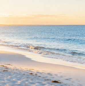 제주도 여행 최적 시기