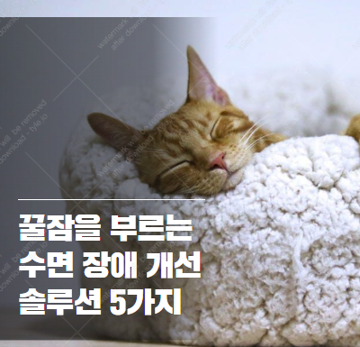 약 없이 수면 장애 개선 솔루션 찾는다면 이것부터 해보세요 2025-11-14 16 46 39