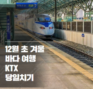 12월 초 겨울 바다 여행