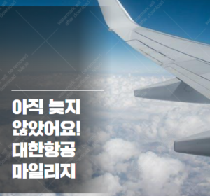 대한항공 마일리지 개편