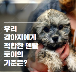 강아지 치아 장난감