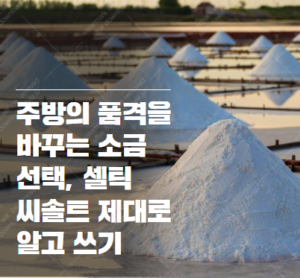 셀틱 씨솔트 라이트 그레이